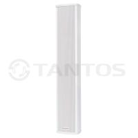 Звуковая колонна TSo-KW30 Звуковая колонна TSo-KW30